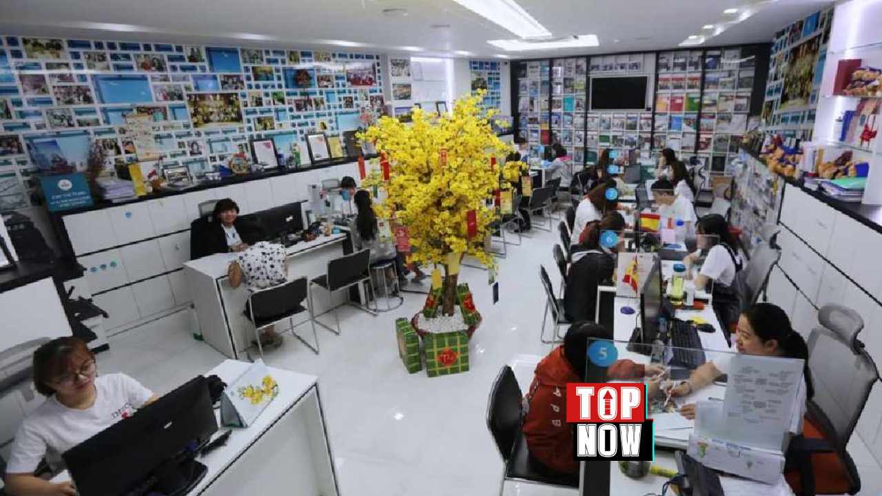 Top 3 Công Ty Du Học Uy Tín Tại Hồ Chí Minh Năm 2025